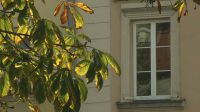 Czynsze pod lupą Sądu Administracyjnego