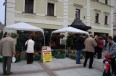 IMG_2628.JPG