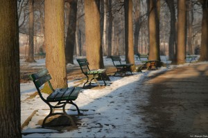 Park Norweski