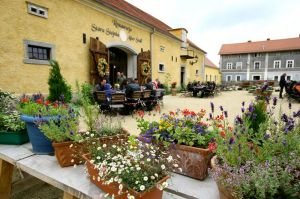 Folwarczny Kiermasz Dożynkowy przy Pałacu Łomnica