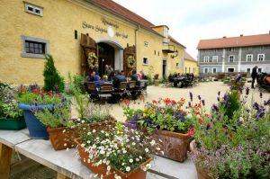 Folwarczny Kiermasz Dożynkowy przy Pałacu Łomnica