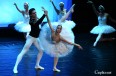 Balet Narodowej Opery Ukrainy na deskach Teatru Norwida
