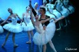Balet Narodowej Opery Ukrainy na deskach Teatru Norwida