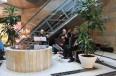 koncert grupy Semplice