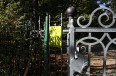 park_IMG_5887.jpg