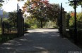 park_IMG_5878.jpg