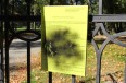 park_IMG_5894.jpg
