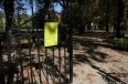 park_IMG_5903.jpg