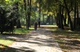 park_IMG_5900.jpg