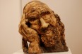 muflon2-1024x685.jpg