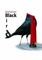 Blackbird - 20.09