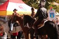 IMG_0950_senioralia.jpg