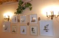 DSCN0122.jpg