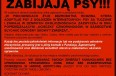 Zabijają psy? Jeleniogórski Wolnotariat dla Zwierząt prosi o informacje