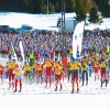 05 Marca 2012 : 36 Bieg Piastów