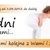 29 Lipca 2013 : Rok działalności Fundacji Mondo Cane