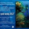 25 Września 2013 : Wernisaż wystawy pt. Życie pod wodą