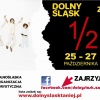 21 Października 2013 : Dolny Śląsk za pół ceny