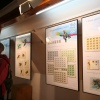 14 Lutego 2014 : Olimpijska wystawa w Muzeum Sportu i Turystyki